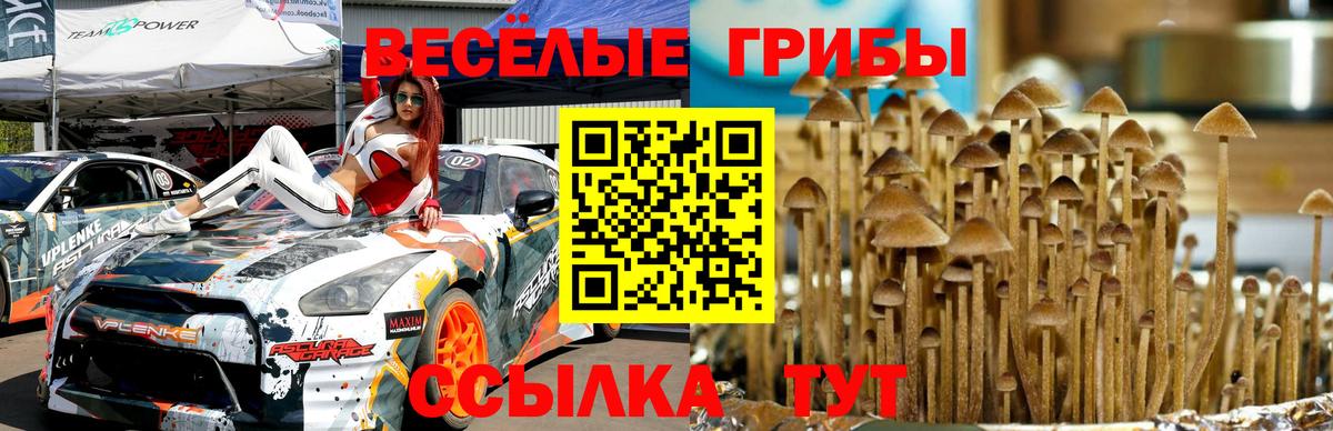 Можга  Галлюциногенные грибы Magic Shrooms  Вход с VPN 