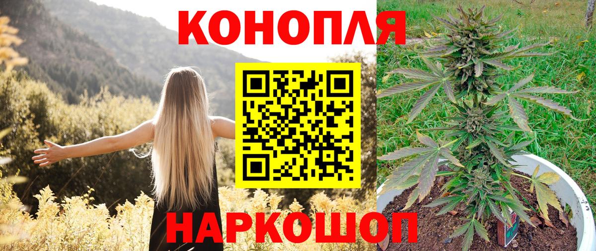 Марихуана семена  Марихуана план  Можга  Вход с VPN 